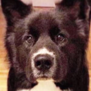 Meet your Posher, Ayman